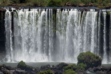 Chutes d'Iguazu