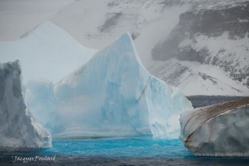 paysage antarctique