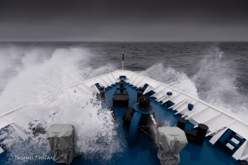 Navigation vers la Terre François Joseph, mer de Barents